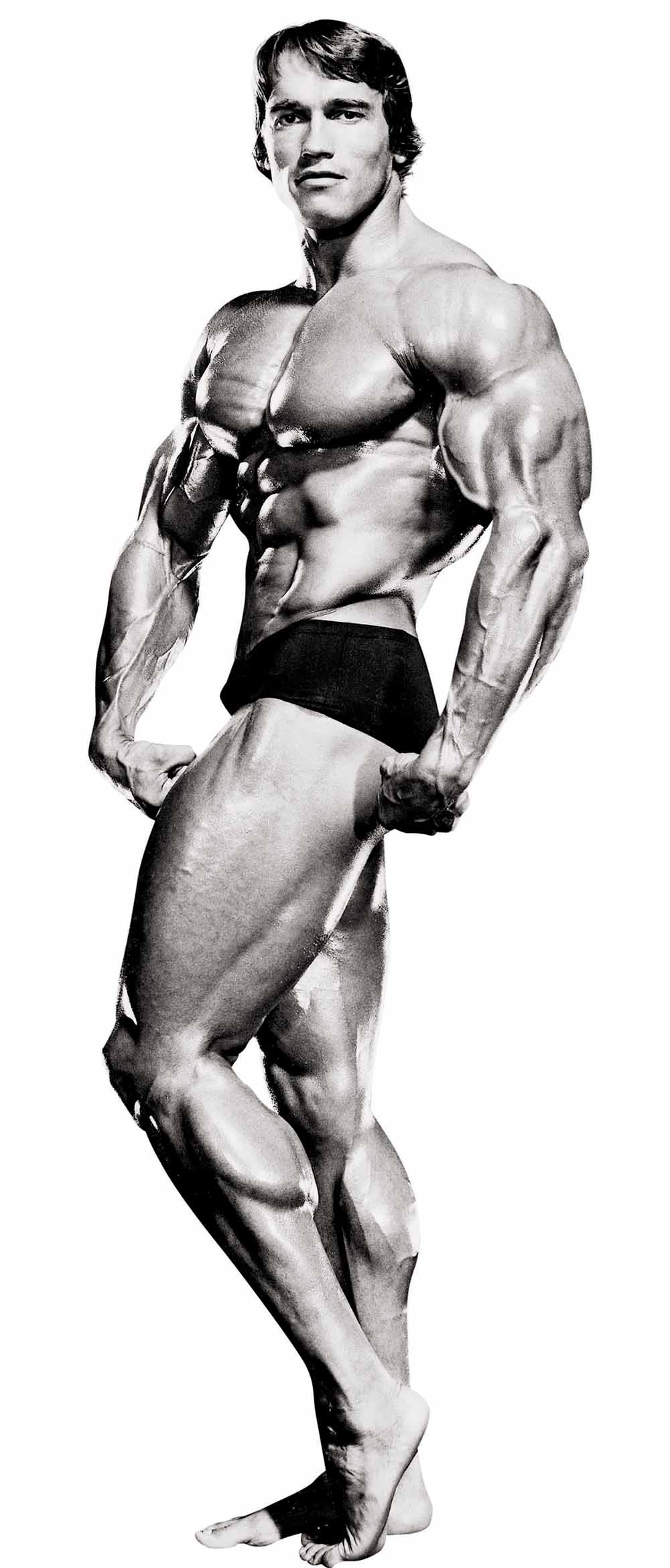 arnold2