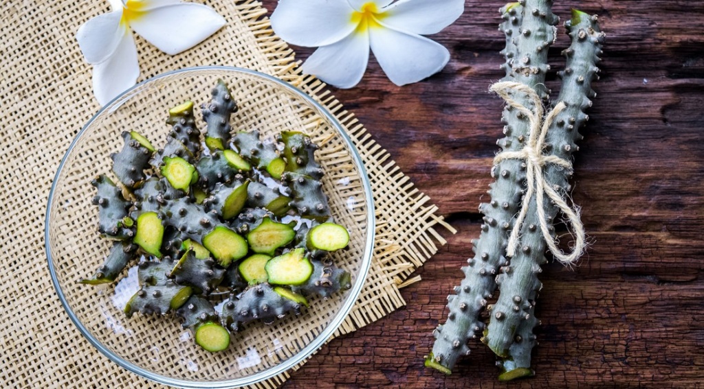 Tinospora-Cordifolia-Cut-Bowl-Orchid .jpg