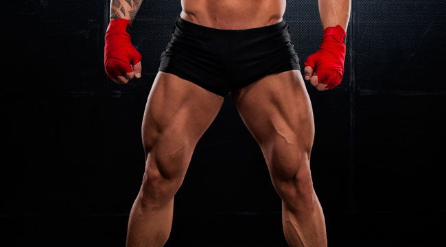 quad-exercise-routine-3.jpg